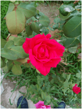 upload_2015-8-31_15-32-11.png