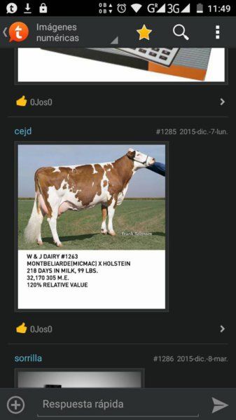 uploadfromtaptalk1449917415474.jpg