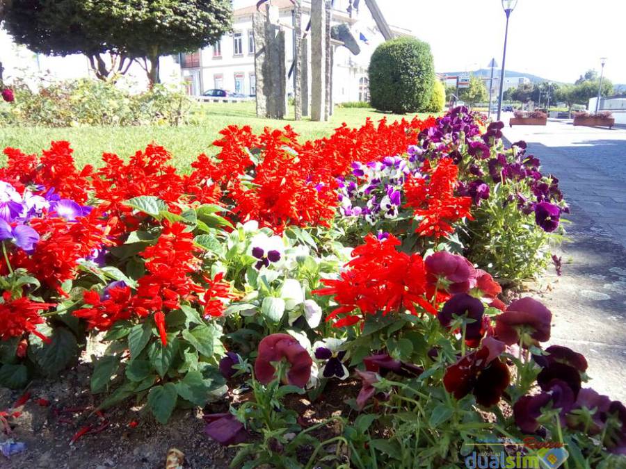 uploads.tapatalk_cdn.com_20160624_6c10487a24ce228df59960a7a6d6681b.jpg
