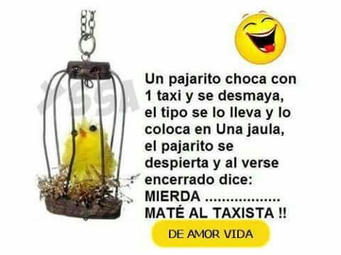 uploads.tapatalk_cdn.com_20160812_a348b8e44330d149ade26317c5d835d3.jpg