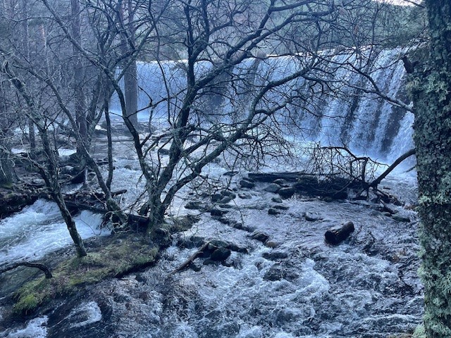 Valle Angostura 2.jpg