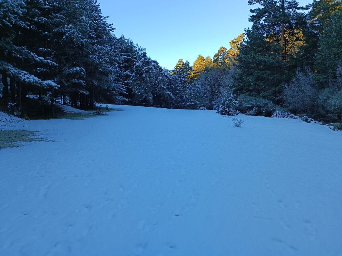 Valle Angostura 3.jpg