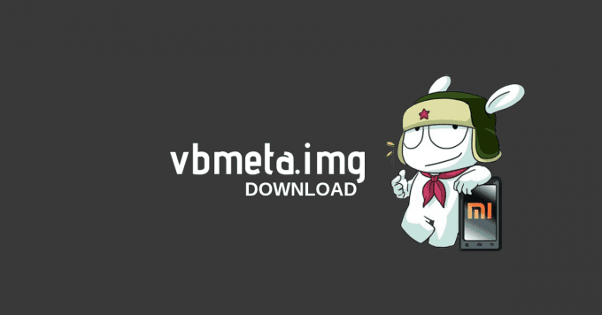 vbmeta-download-.png