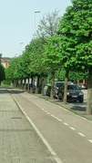 WP5000_01.jpg