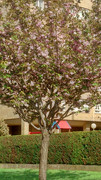 WP5000_03.jpg