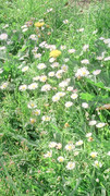 WP5000_04.jpg