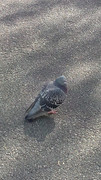 WP5000_05.jpg