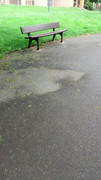 WP5000_07.jpg