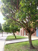 WP5000_CAMARA_FRONTAL_01.jpg