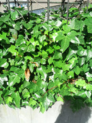 WP5000_OPEN_01.jpg