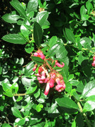 WP5000_OPEN_03.jpg
