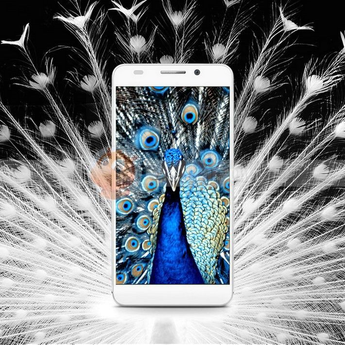 www.1949deal.com_media_catalog_product_cache_1_image_b02c2defc25973caf6028e3ba03be411_k_v_kv.jpg