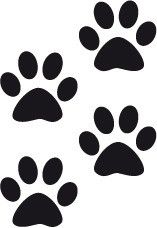 www.actualdecor.com_WebRoot_StoreLES_Shops_62027572_4C66_6C66_e1f3a006421a61846ff4bb3db8cb3f1f.jpg