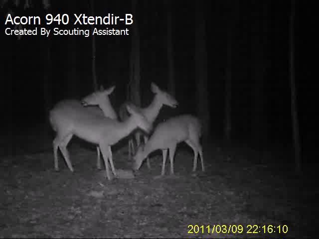 www.chasingame.com_wp_content_old_reviews_200_files_acorn_940_xtendir_b_640x480.jpg