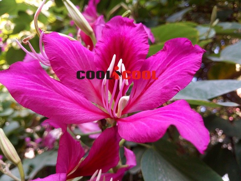 www.china_devices.com_uploads_monthly_2015_12_56779d3c816f3_IMa5440644a64564f4fdd9fb895c5d65f6.jpg