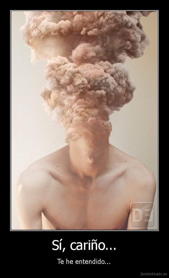 www.desmotivado.es_media_demotivators_desmotivado.es_Si_carino..._Te_he_entendido_137615411039.jpg