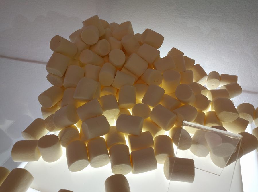 www.elandroidelibre.com_wp_content_uploads_2015_12_nexus_6p_camara_marshmallow.jpg
