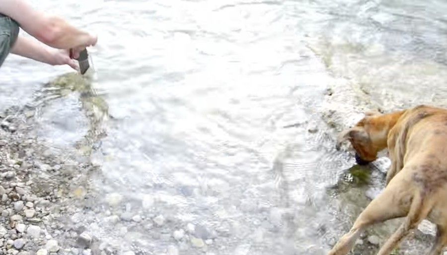 www.elandroidelibre.com_wp_content_uploads_2016_03_fotos_vaso_agua.jpg