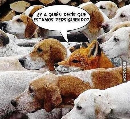 www.esgag.com_uploads_posts_t_l_5667.jpg
