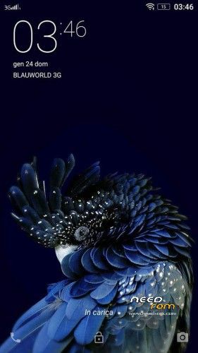 www.needrom.com_wp_content_uploads_2016_01_691324_281x500.jpg