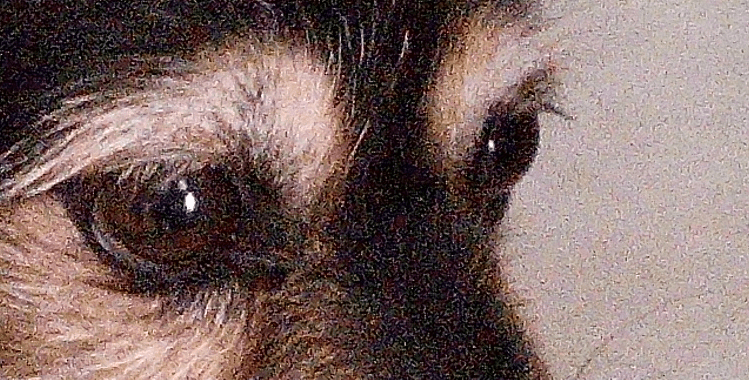 www.needrom.com_wp_content_uploads_userfiles_2015_1.PNG