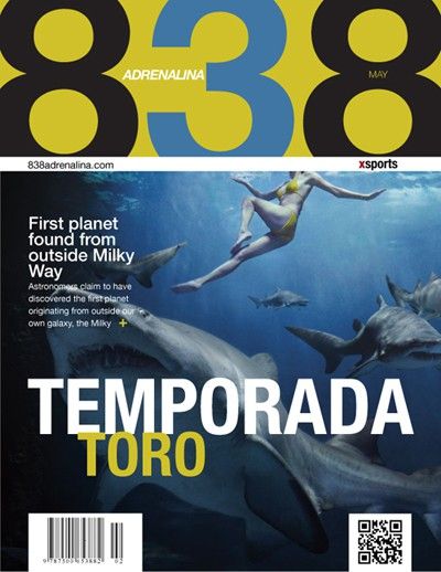 www.nizzmo.com_new_wp_content_uploads_2012_10_toro1.jpg
