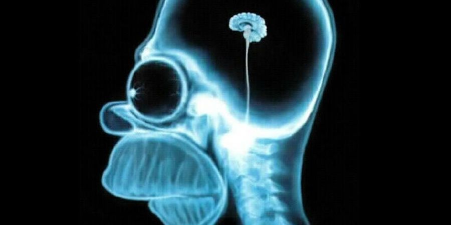 www.omicrono.com_wp_content_uploads_2016_04_homer_simpson_wallpaper_brain_1024.jpg