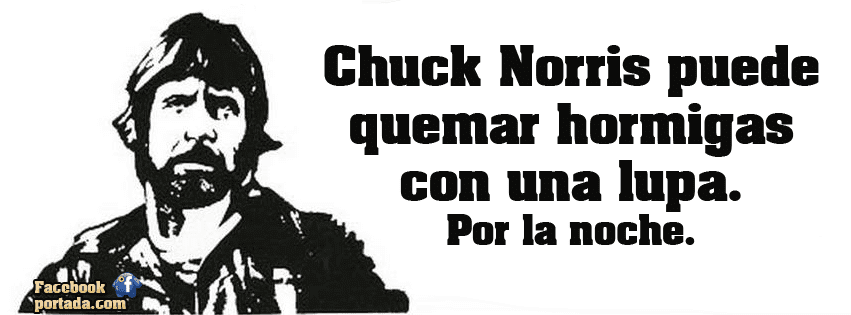 www.pinfrases.com_wp_content_uploads_2014_05_frases_de_chuck_norris_1399030701n4k8g.png