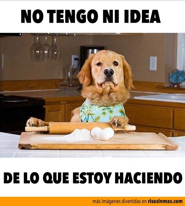www.risasinmas.com_wp_content_uploads_2013_08_perro_cocinero.jpg