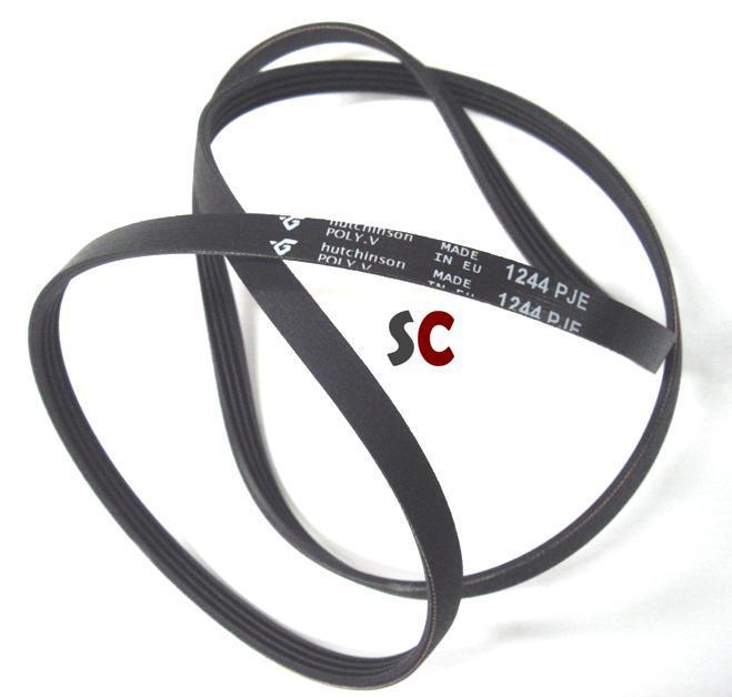 www.solocorreas.com_WebRoot_StoreLES_Shops_63341910_5277_8C5A_393700b5bcde592efc818ab06f77460a.jpg