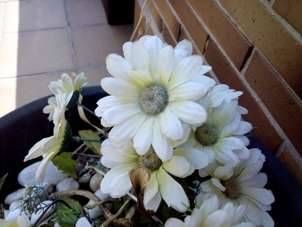www.subemania.com_imagenes_IMG_20130719_170629.jpg