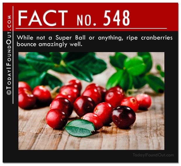 www.todayifoundout.com_wp_content_uploads_2013_07_TIFO_Quick_Fact_548.jpg