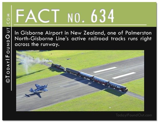 www.todayifoundout.com_wp_content_uploads_2013_09_TIFO_Quick_Fact_634.jpg