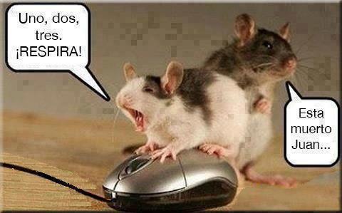 www.tonteriastontas.com_upload_683484126374021415351290002426n9793.jpg