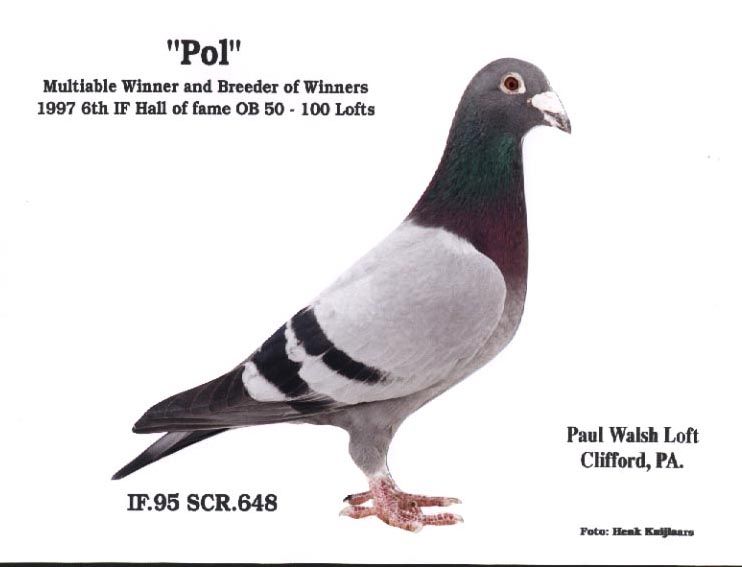 www.walshloft.com_2001_648.jpg