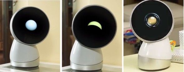 yu_jibo3.jpg