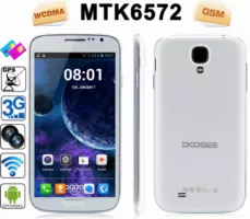 dg300