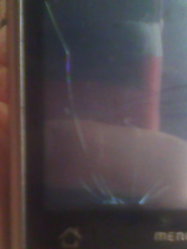IMG00006.jpg