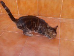 IMG_20110930_170640.jpg