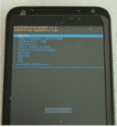 98475076.jpg
