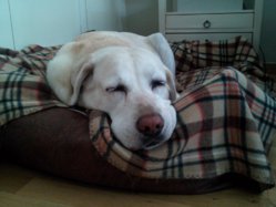 IMG_20120428_212251.jpg