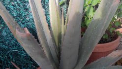 2013-04-05 18.33.40.jpg
