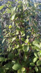 2013-04-05 18.34.35.jpg