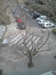 IMG_20130405_231512.jpg