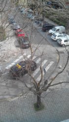 IMG_20130405_231529.jpg