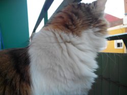 IMG_20130409_085604.jpg