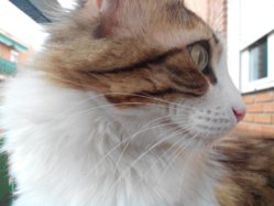 IMG_20130409_085633.jpg