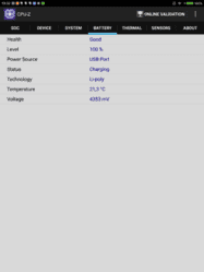 Screenshot_2016-01-19-19-32-23_com.cpuid.cpu_z.png