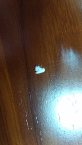 IMG_20160120_115927.jpg