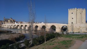 IMG_20160124_152821.jpg